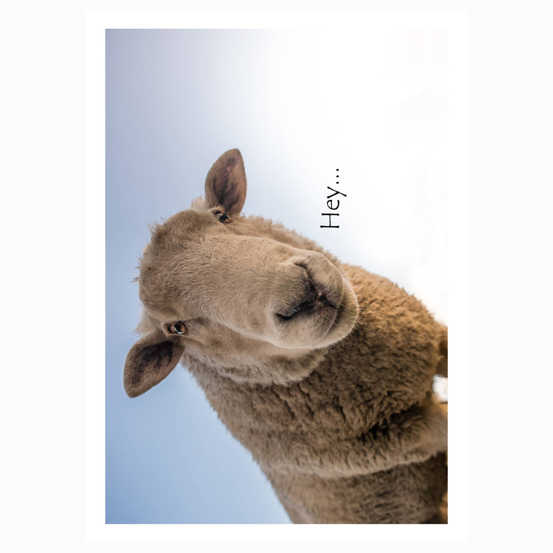 Ewe Okay? | Funny Thinking of You Card