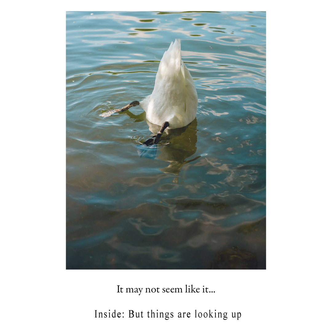 Duck Butt | Encouragement Card