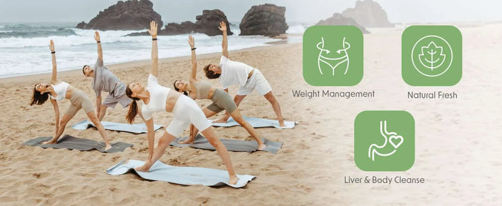 Detox Delight "Wellness Loose Tea Collection" Pure & Easy Tea