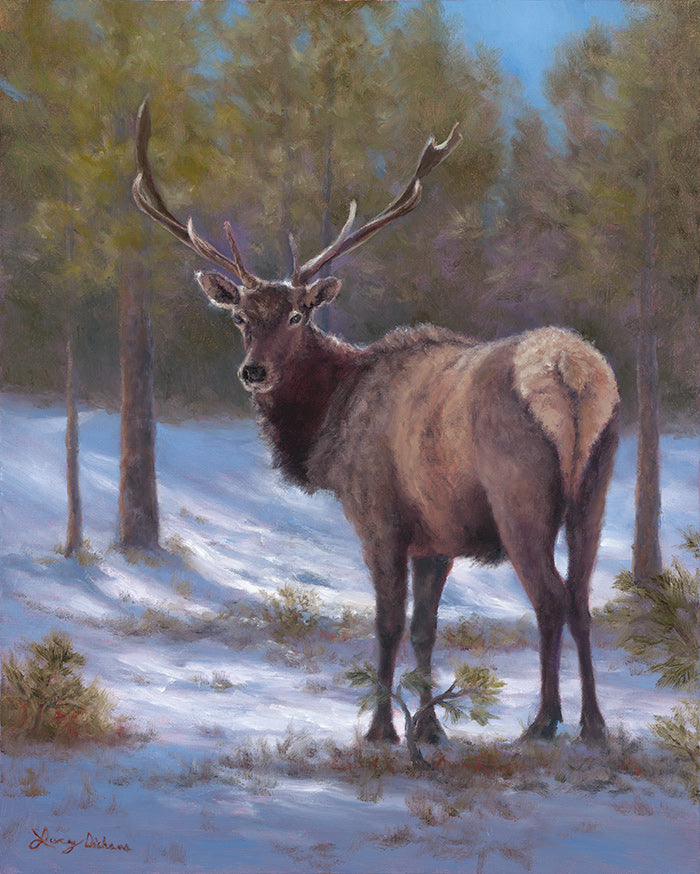 Lucy Dickens, Artist   Large Art Cards