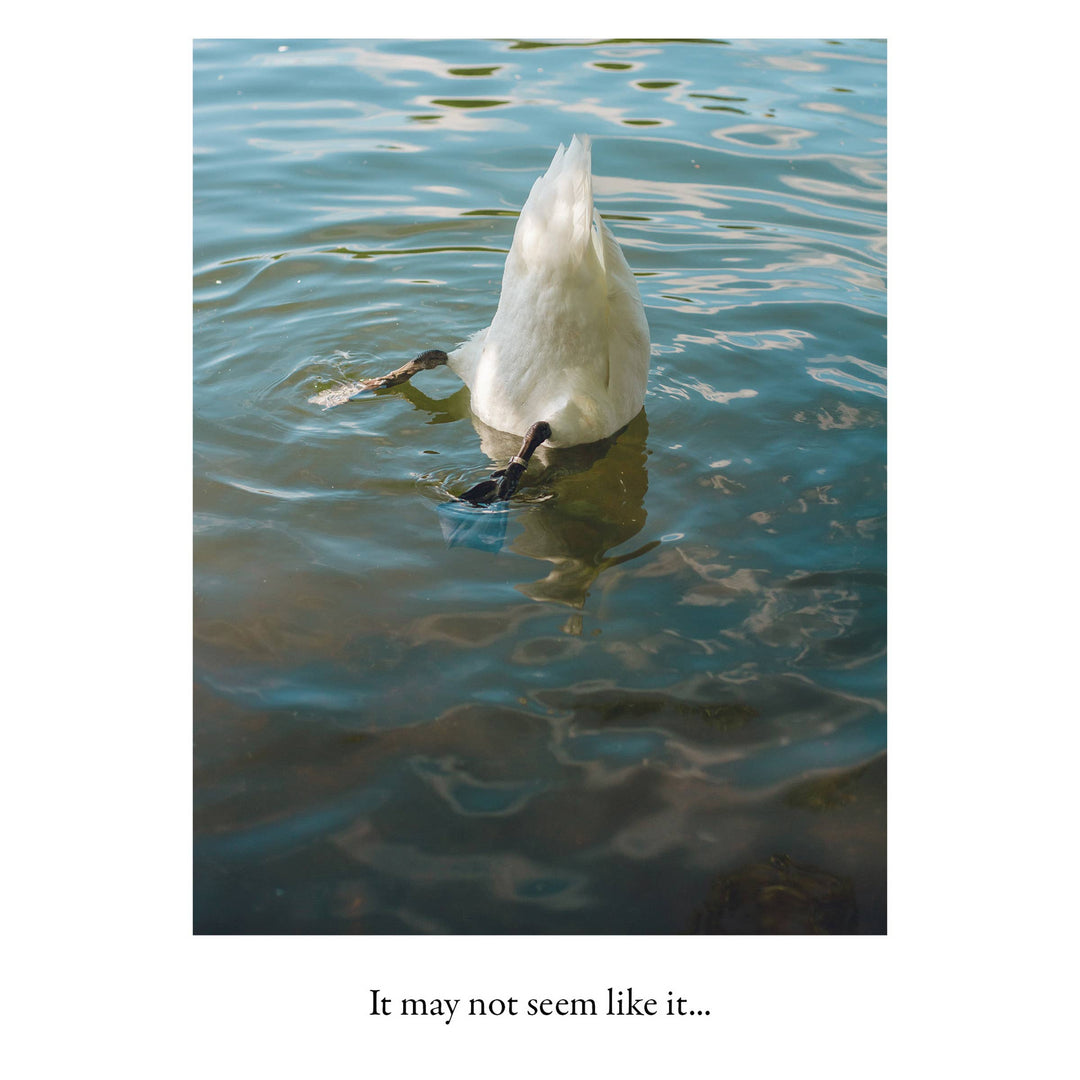 Duck Butt | Encouragement Card