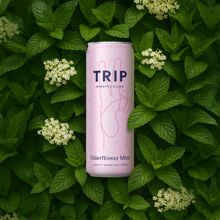 TRIP Elderflower Mint Mindful Blend