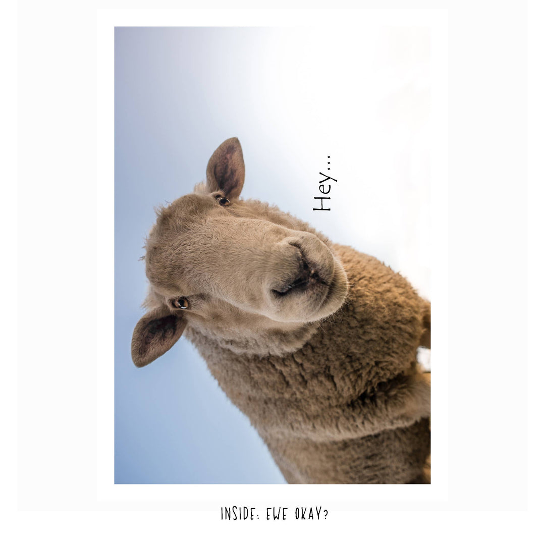 Ewe Okay? | Funny Thinking of You Card